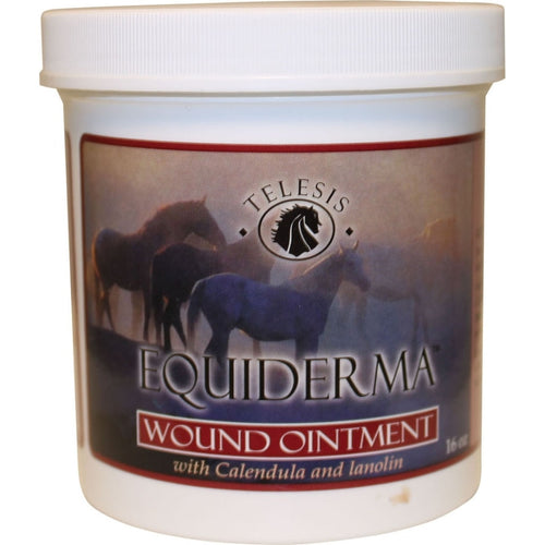 EQUIDERMA WOUND OINTMENT W/CALENDULA & NEEM