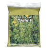 Southern States® Birdsfoot Trefoil