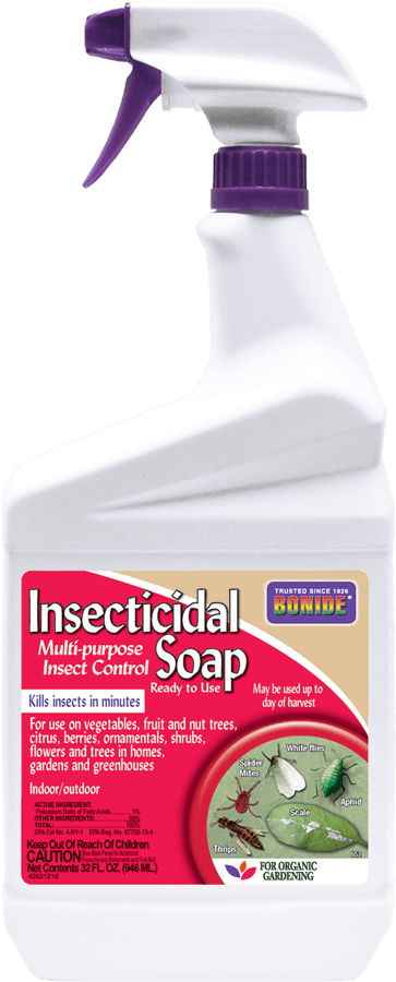Bonide Insecticidal Soap
