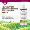 NaturVet ArthriSoothe-GOLD® Advanced Joint Care Liquid (8 oz)