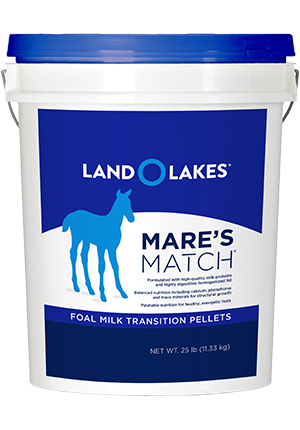 Purina Land O'Lakes Mare’s Match Foal Milk Replacer Foal Transition Pellet Horse Supplement, 25-lb Pail