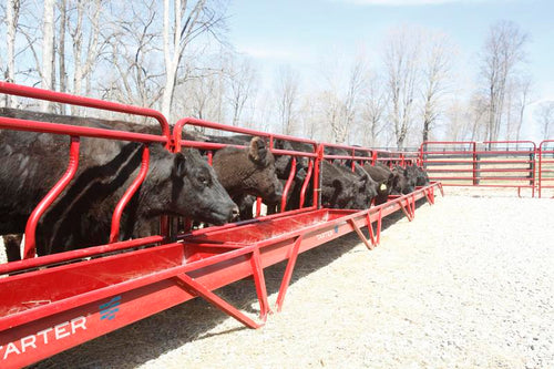 Tarter 10’ Metal Grain Feeder