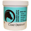 COAT DEFENSE TROUBLE SPOT DRYING PASTE