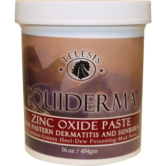 EQUIDERMA ZINC OXIDE PASTE FOR DERMATITIS & SUNBRN