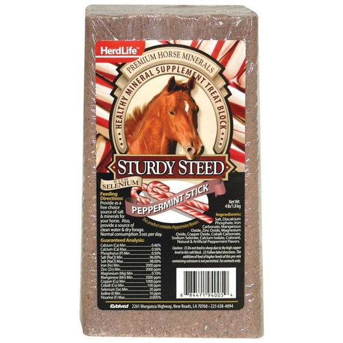 EVOLVED STURDY STEED HORSE SALT BLOCK